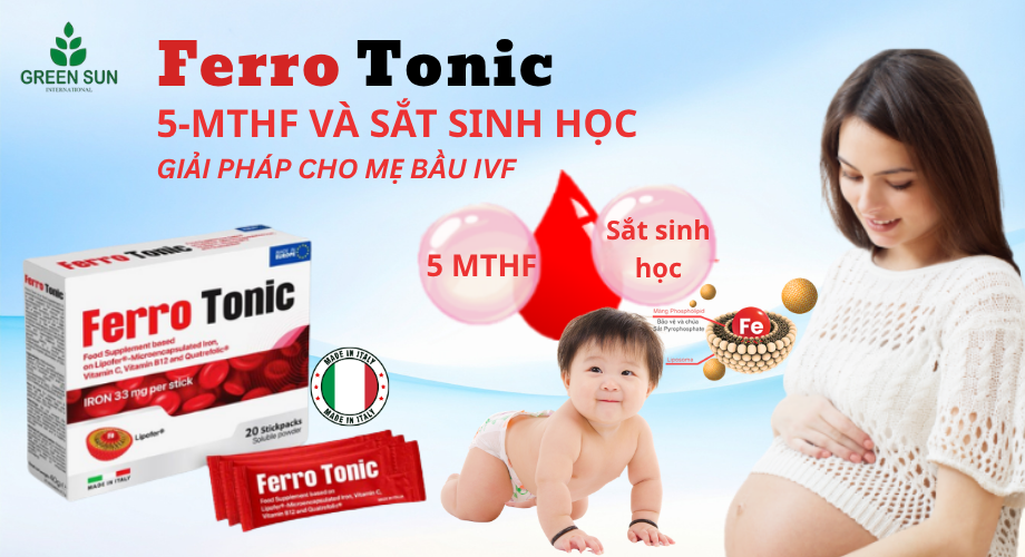 SẮT SINH HỌC VÀ 5 MTHF